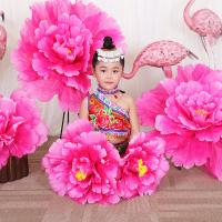 uploads/erp/collection/images/Home Garden/CongDing/XU0611491/img_b/XU0611491_img_b_1